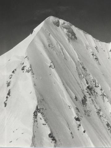 Gruppo Ortles - Cevedale