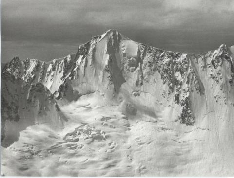 Gruppo Adamello - Presanella