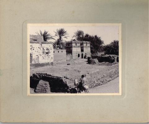 Egitto viaggio in…