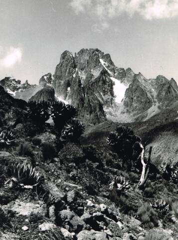 Monte Kenya