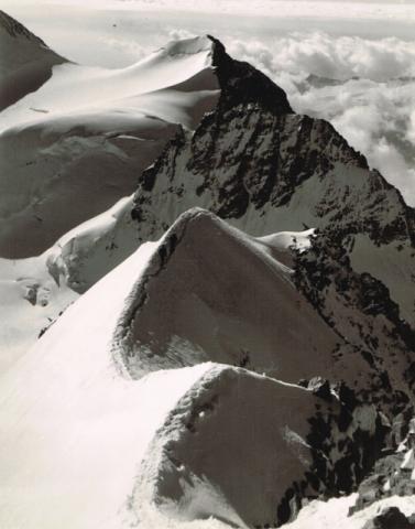 Sulla cresta del Bernina