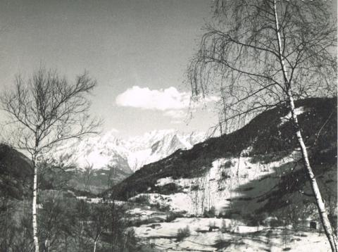 L'Adamello dall'Aprica