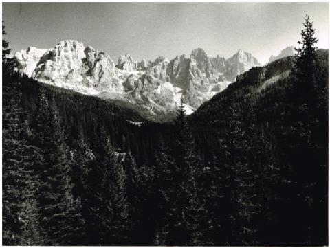 Gruppo Pale di San Martino