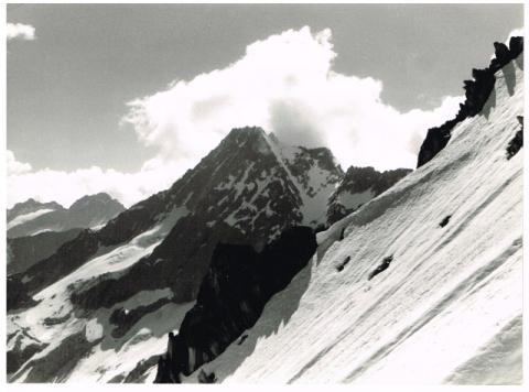 CIMA BUSAZZA - GRUPPO PRESANELLA