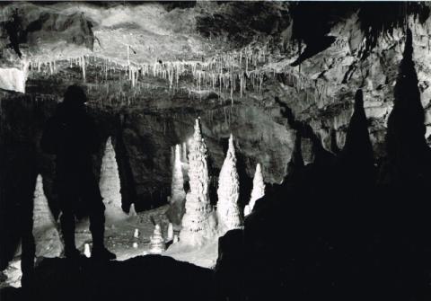 Speleologia