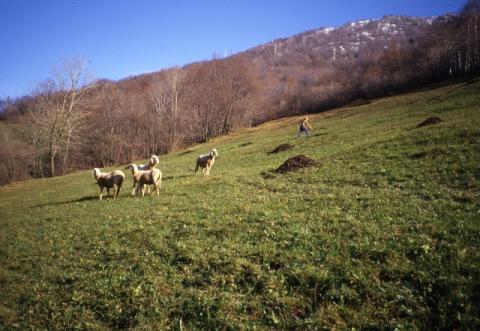 Prealpi Bergamasche