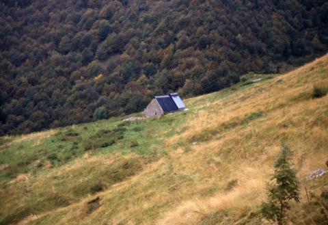 Aralalta, Baitù e Pizzino