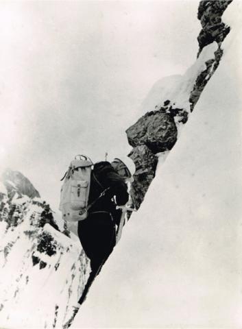 Gruppo Ortles - Cevedale