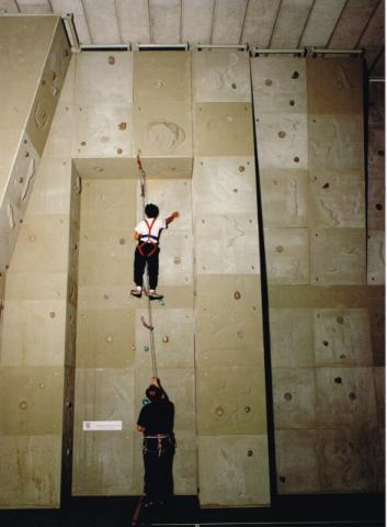 Arrampicata - palestra