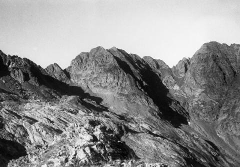 cime non individuate