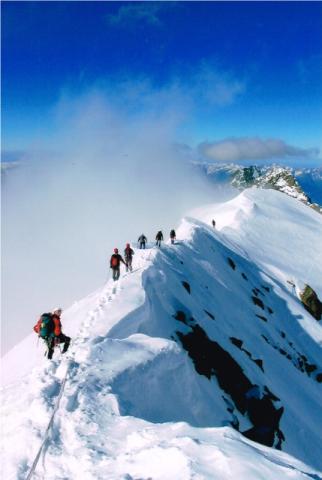 Neve