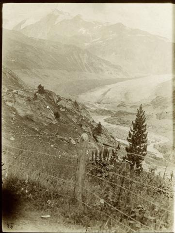 Ghiacciaio del Forno