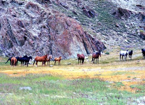 Russia - Spedizione Pamir-Kyrgyzstan