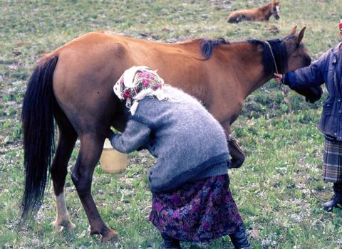 Russia - Spedizione Pamir-Kyrgyzstan
