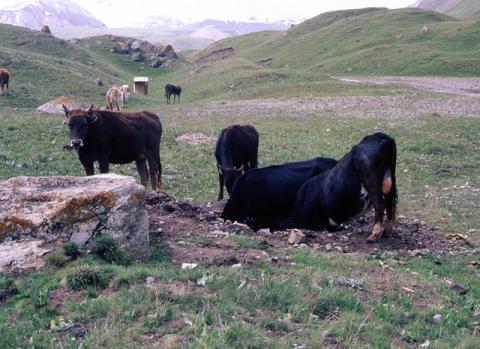 Russia - Spedizione Pamir-Kyrgyzstan