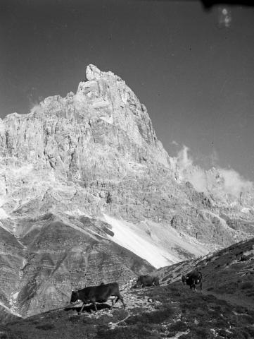 Cimon della Pala
