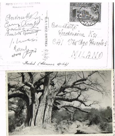 Spedizione italiana al K2 1954