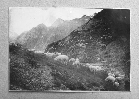 Album Fotografico Nr. 1 - anni 1910/29