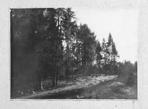 Album Fotografico Nr. 1 - anni 1910/29