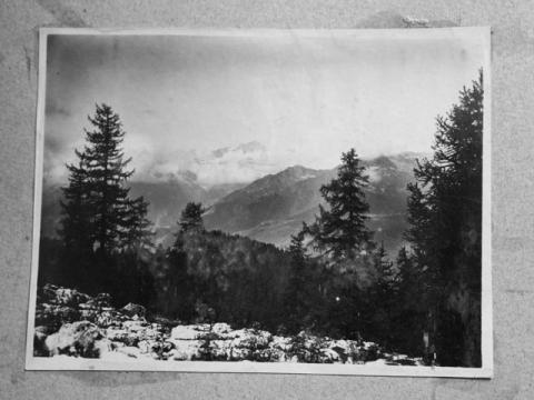 Album Fotografico Nr. 1 - anni 1910/29