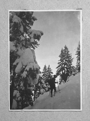 Album Fotografico Nr. 1 - anni 1910/29