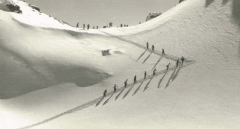 Trofeo Parravicini 1946
