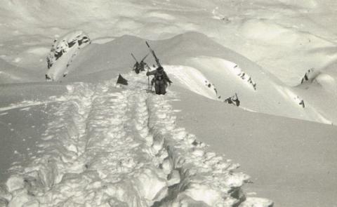 Trofeo Parravicini 1952