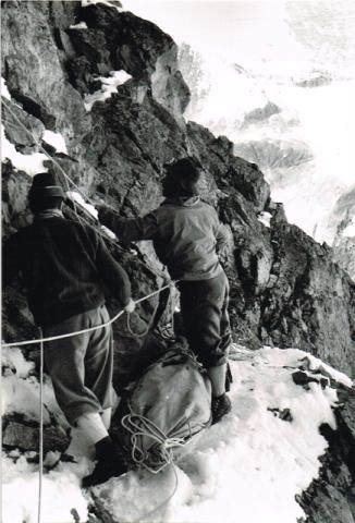 Recupero salma L. Pellicioli