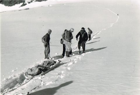 Recupero salma L. Pellicioli