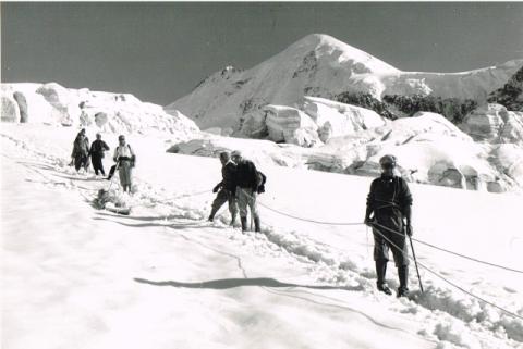 Recupero salma L. Pellicioli