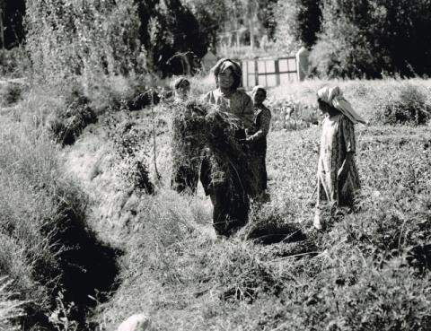 Mostra Himalaya 2000 di Giancelso Agazzi