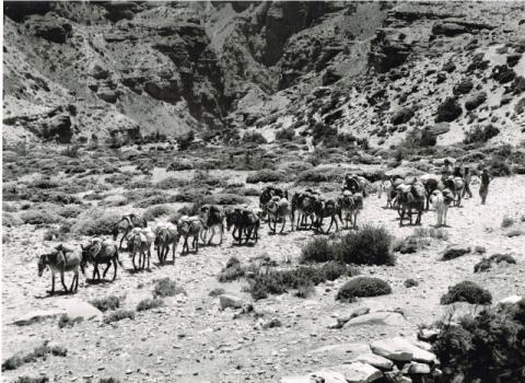 Mostra Himalaya 2000 di Giancelso Agazzi