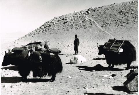 Mostra Himalaya 2000 di Giancelso Agazzi