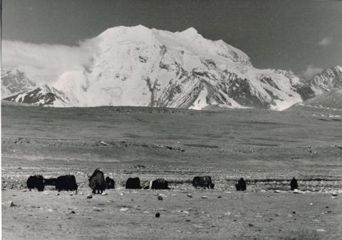 Mostra Himalaya 2000 di Giancelso Agazzi