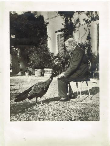 C.A.I. Bergamo vita sociale