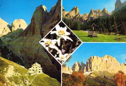 Dolomiti