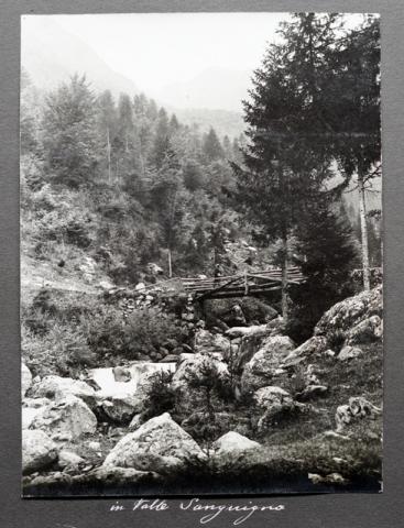 Album Fotografico Nr. 2 - anni 1920/29