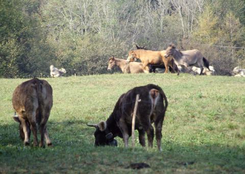 A spasso sopra San Pellegrino Terme