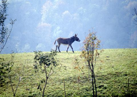 A spasso sopra San Pellegrino Terme