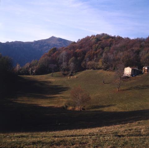 San Pellegrino Terme: Contrade