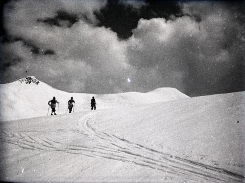 Cevedale (sci, giugno 1946)