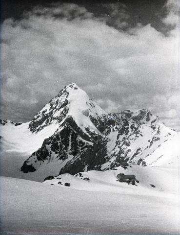 Cevedale (sci, giugno 1946)