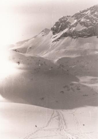 Trofeo Parravicini 37° 1983