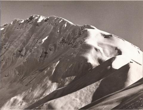 Trofeo Parravicini 38° 1985