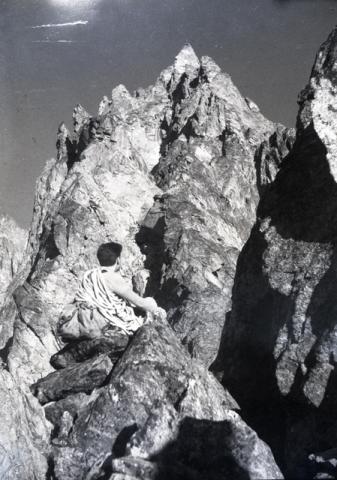 Monte Bianco e Aiguille Pilleret (1946)