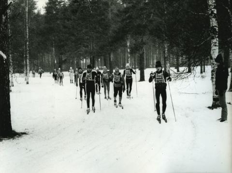 Vasaloppet 1981