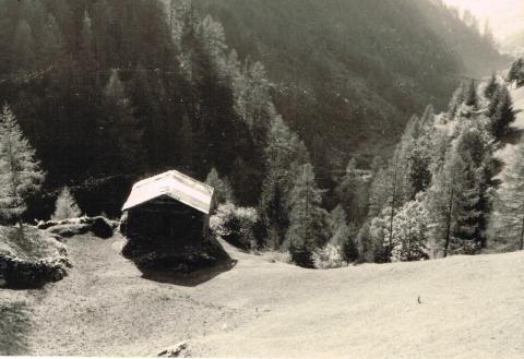 Rifugio Calvi