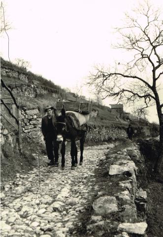 Fonteno e Monte Torrezzo