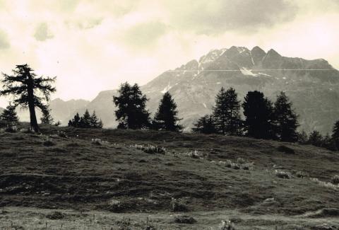 Silvaplana - Piz Corvatsch