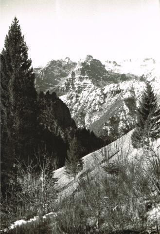 Monte Avaro
